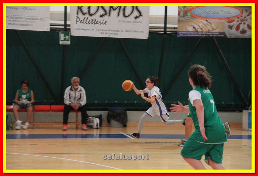 140301 GM_basket 225_tn.jpg